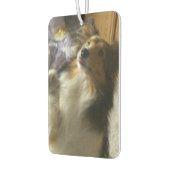 Shetland Sheepdog Begging カーエアーフレッシュナー (左)