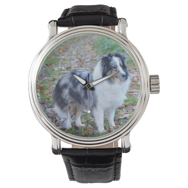 Shetland Sheepdog Blue Merle 腕時計 (正面)