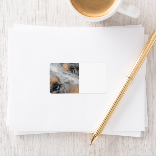 Shetland Sheepdog Blue Merle Eyes ラベル (インサイチュ)