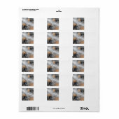 Shetland Sheepdog Blue Merle Eyes ラベル (フルシート)