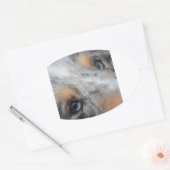 Shetland Sheepdog Blue Merle Eyes 楕円形シール (封筒)