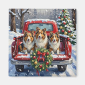 Shetland Sheepdog Christmas Red Truck Holiday マグネット (正面)