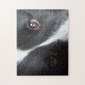 Shetland Sheepdog Eyes ジグソーパズル (縦)