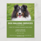 Shetland Sheepdog Photo Green Dog Walker Template チラシ (正面)