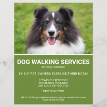 Shetland Sheepdog Photo Green Dog Walker Template