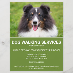 Shetland Sheepdog Photo Green Dog Walker Template チラシ