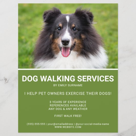 Shetland Sheepdog Photo Green Dog Walker Template チラシ (正面)