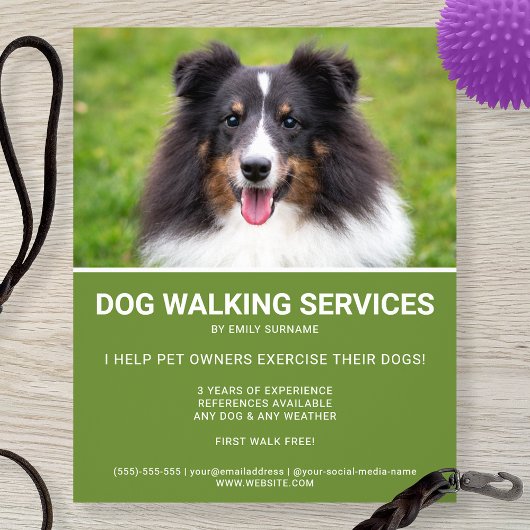 Shetland Sheepdog Photo Green Dog Walker Template チラシ