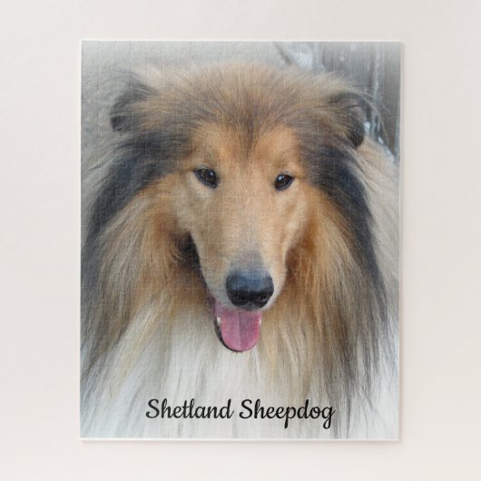 Shetland Sheepdog Portrait ジグソーパズル (縦)