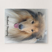 Shetland Sheepdog Portrait ジグソーパズル (横)