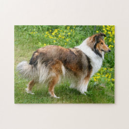 Shetland Sheepdog - Sheltie Dog ジグソーパズル