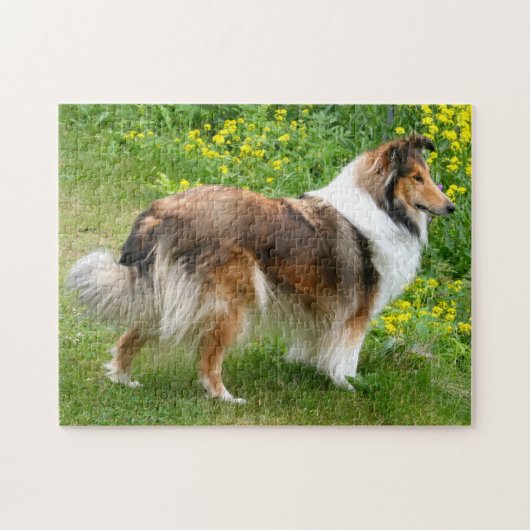 Shetland Sheepdog - Sheltie Dog ジグソーパズル (横)