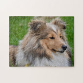 Shetland Sheepdog - Sheltie Dog ジグソーパズル (横)