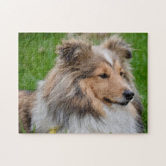 Shetland Sheepdog - Sheltie Dog ジグソーパズル (横)