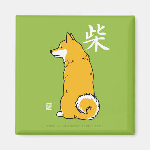 Shibaの正方形の磁石 マグネット