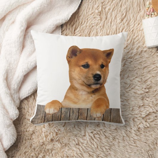 Shiba Inu クッション (ブランケット)