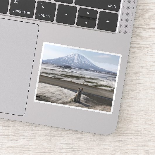 Shiba Inu シール (詳細)