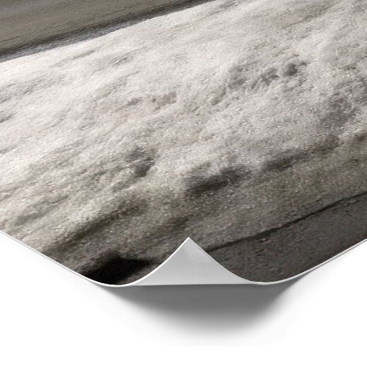 Shiba Inu ポスター (角)