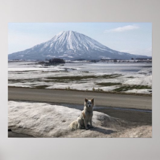 Shiba Inu ポスター (正面)