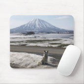 Shiba Inu マウスパッド (マウス)