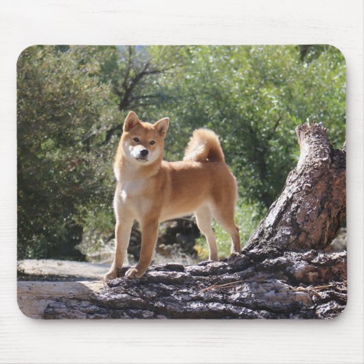 Shiba Inu マウスパッド (正面)