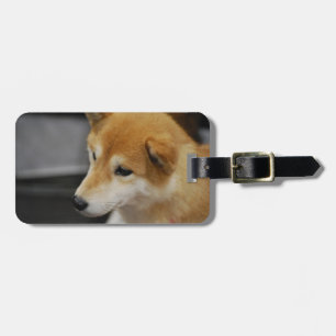 shiba-inu-2.jpg ラゲッジタグ