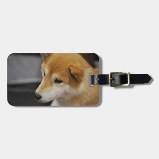 shiba-inu-2.jpg ラゲッジタグ (正面横)