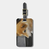shiba-inu-2.jpg ラゲッジタグ (正面縦)