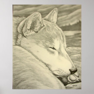 Shiba Inu Art Poster Dog Art Poster Shiba Inu Gift ポスター