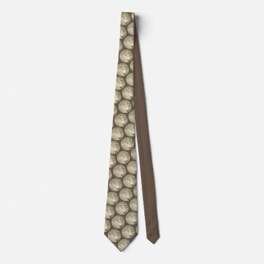 Shiba Inu Art Ties Stylish Dog Lover Ties ネクタイ (正面)