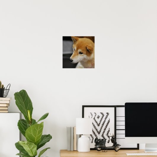 Shiba Inu Poster ポスター (ホームオフィス)
