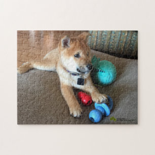 Shiba Inu Puppy With Colorful Toys Photograph ジグソーパズル