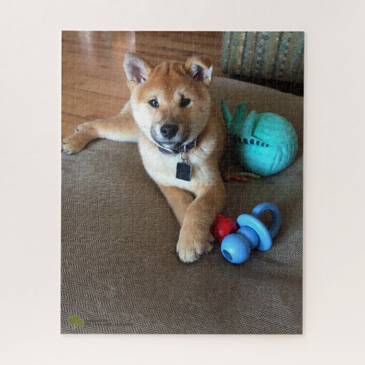 Shiba Inu Puppy With Colorful Toys Photograph ジグソーパズル (縦)