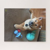 Shiba Inu Puppy With Colorful Toys Photograph ジグソーパズル (横)