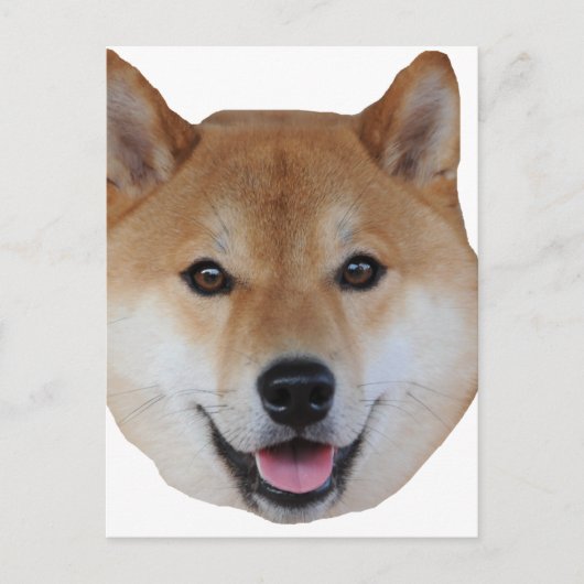 shibe.png ポストカード (正面)