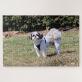 Shih Tzu ジグソーパズル (横)