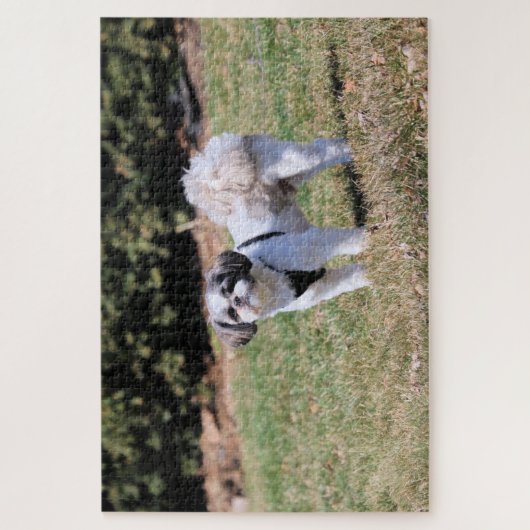 Shih Tzu ジグソーパズル (縦)