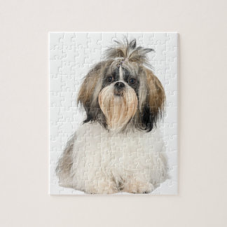 Shih Tzu ジグソーパズル