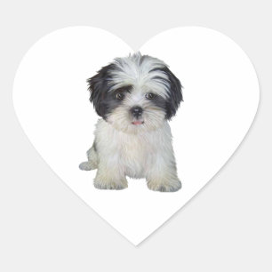 Shih Tzu (bw) – パピー ハートシール