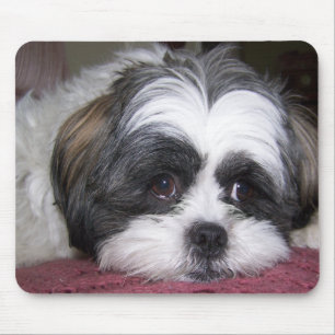 Shih Tzu Dog マウスパッド