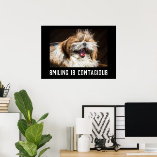 Shih tzu laughing smile customize photo text  ポスター
