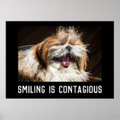 Shih tzu laughing smile customize photo text  ポスター (正面)