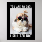 Shih Tzu Not fun cute cool dog Custom text ポスター (正面)