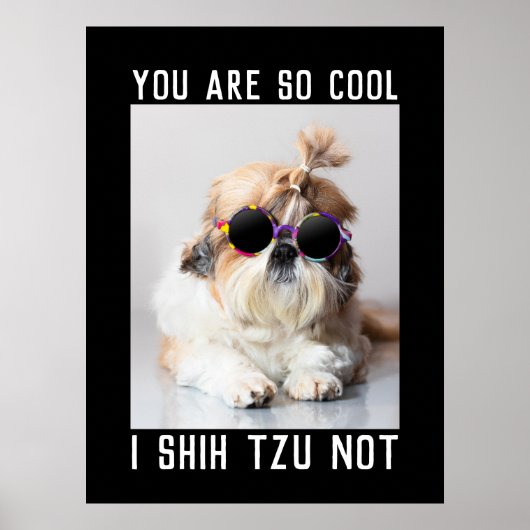Shih Tzu Not fun cute cool dog Custom text ポスター (正面)