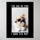 Shih Tzu Not fun cute dog lovers Custom Photo text ポスター (正面)
