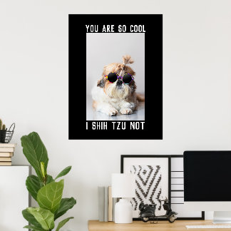 Shih Tzu Not fun cute dog lovers Custom Photo text ポスター