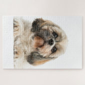 Shih Tzu Pet Dog Photo ジグソーパズル (横)