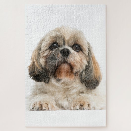 Shih Tzu Pet Dog Photo ジグソーパズル (縦)