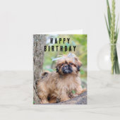 Shih Tzu Puppy Happy Birthday Card Cute Dog カード (正面)