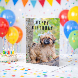 Shih Tzu Puppy Happy Birthday Card Cute Dog カード